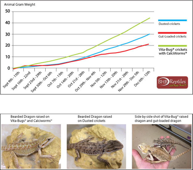 Feeder Insect Nutritional Value Chart